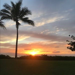 Meet your Posher, Jodee