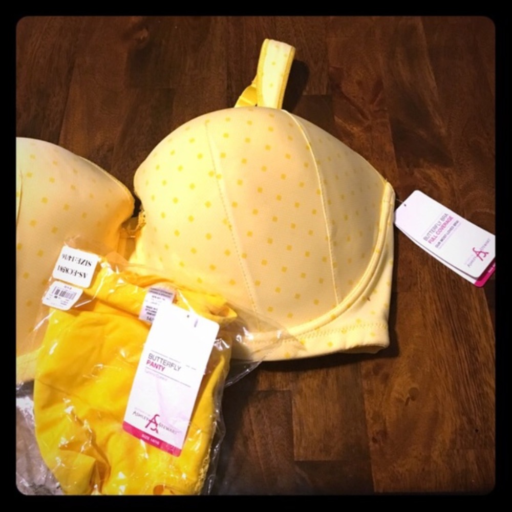 Ashley Stewart Butterfly Bra and Panty set