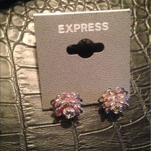 Express Floral Blush Pink Earrings 🌹Brand New