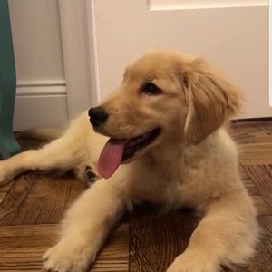 Meet your Posher, Michell