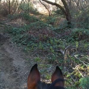 Meet your Posher, Tamara