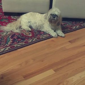 Meet your Posher, Eric