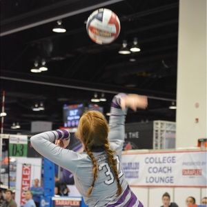 Meet your Posher, Annmarie