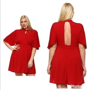 Plusize Flare Dress