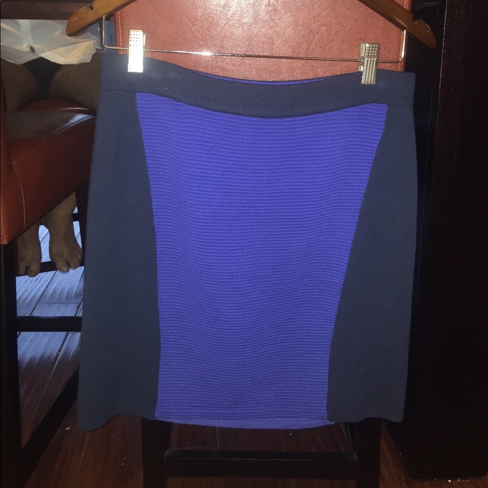 Rag & Bone skirt