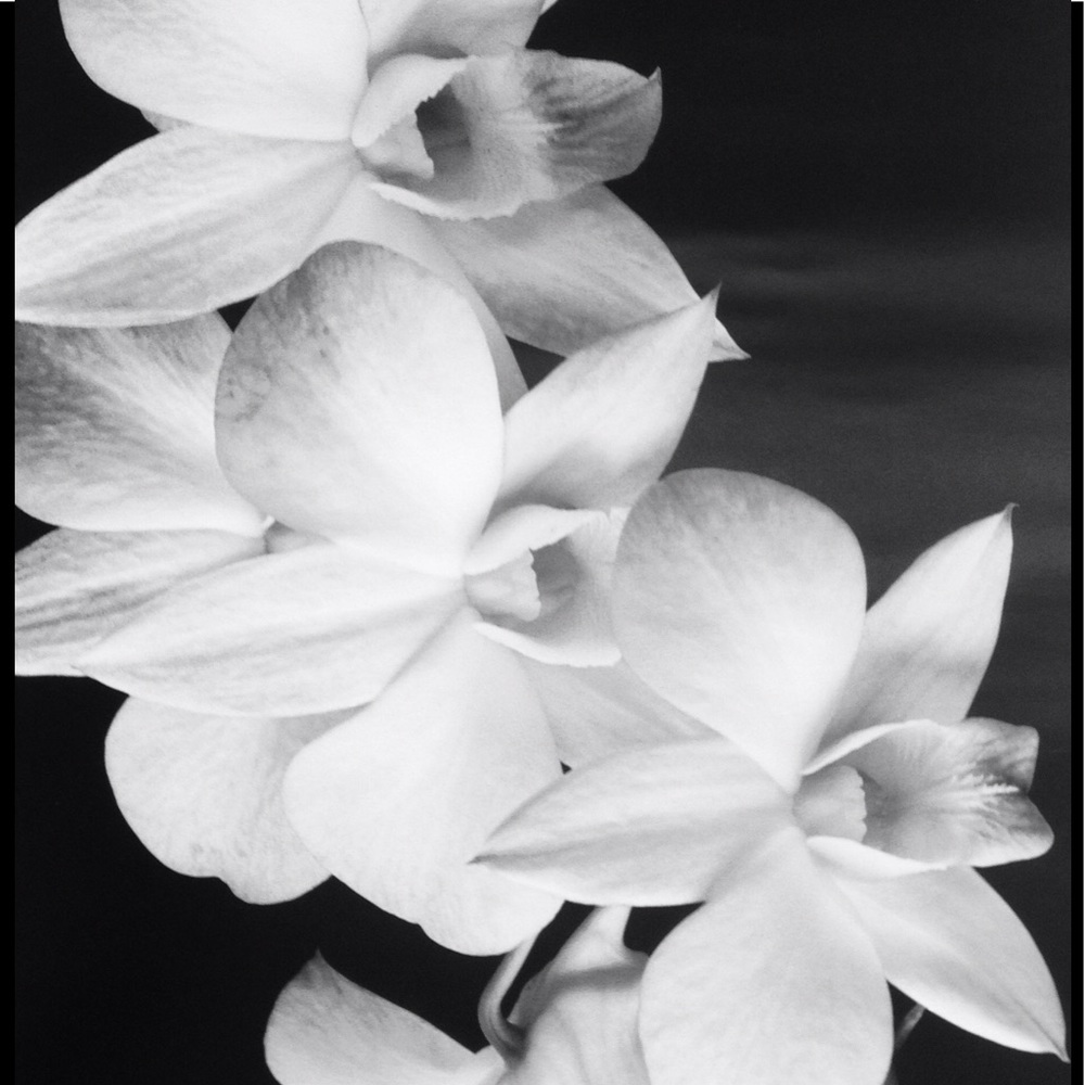 Meet your Posher, Leslie