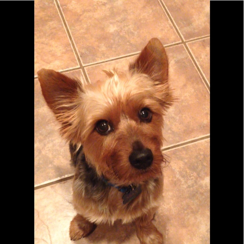 Meet your Posher, Jeanie