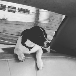 Meet your Posher, Brett