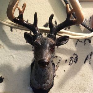 Meet your Posher, Bert