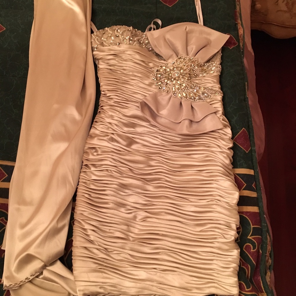 Prom/ wedding guest dress