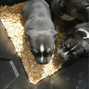 Meet your Posher, Gary