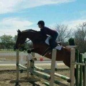 Meet your Posher, Lindsay