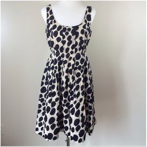J. Crew Navy Blue & Cream Color Dress