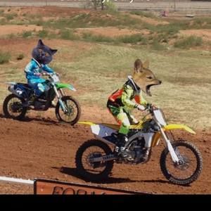 Meet your Posher, Cameron