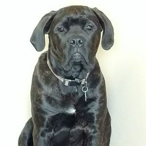 Meet your Posher, Tasharra