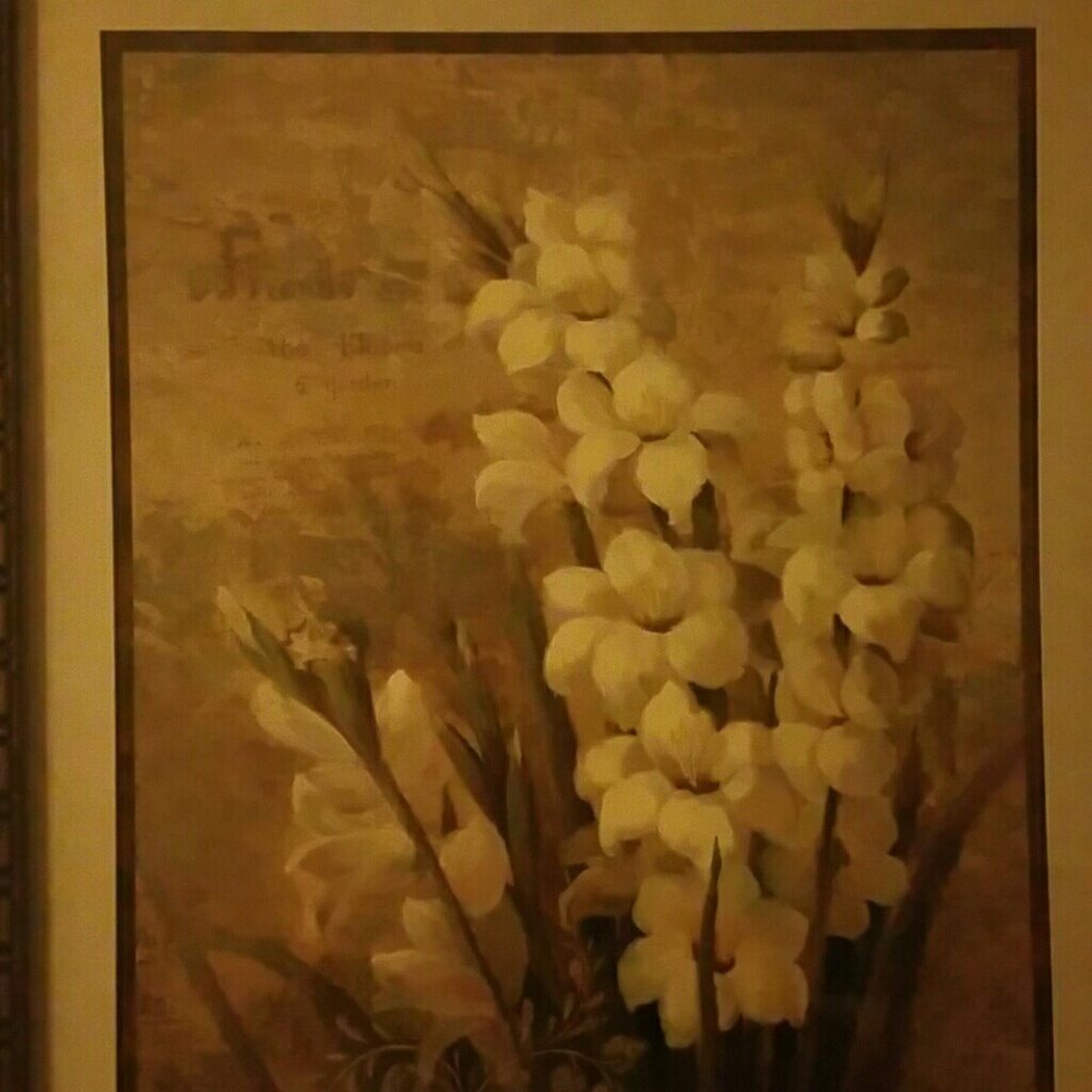 Meet your Posher, Adriana