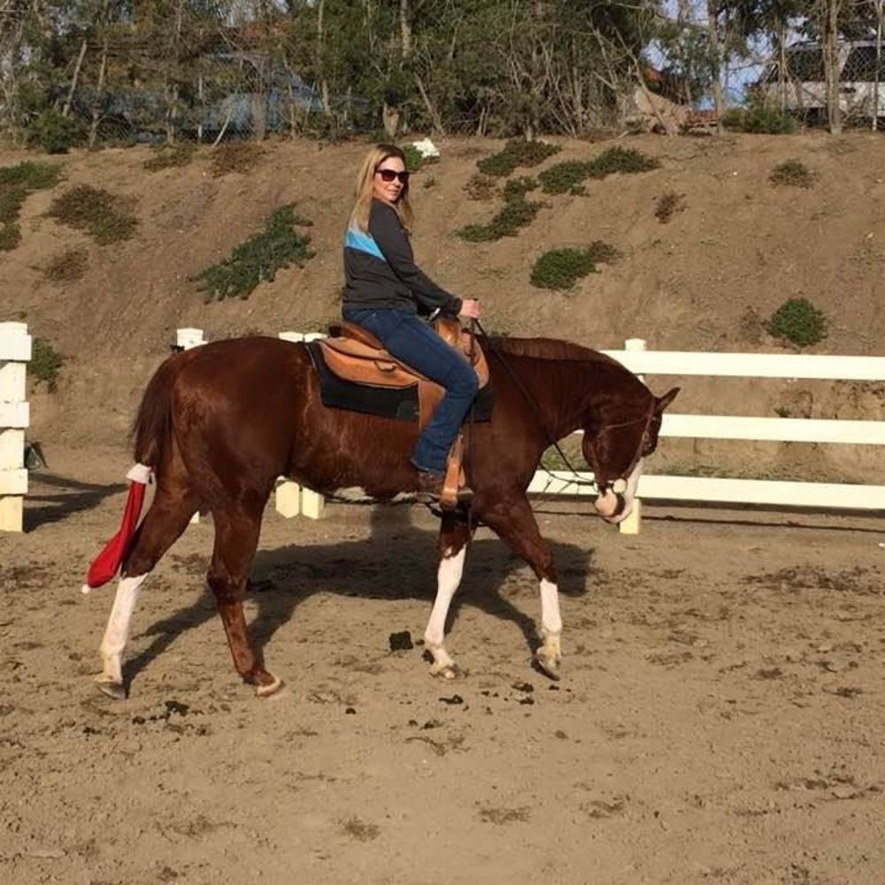 Meet your Posher, Mary