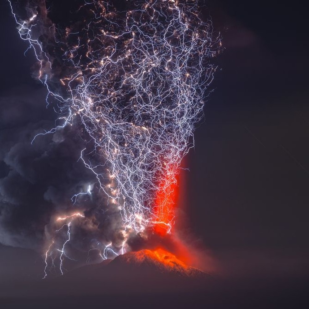 Meet your Posher, Peter