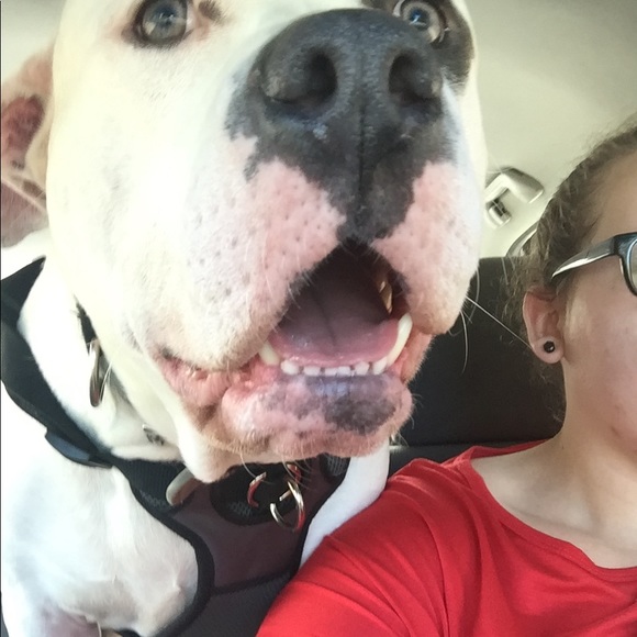 Meet your Posher, Danielle - Picture 4 of 7