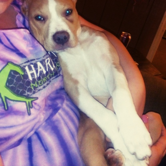 Meet your Posher, Danielle - Picture 6 of 7