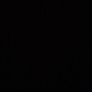 Meet your Posher, Joey