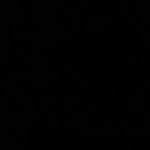 Meet your Posher, Yeni