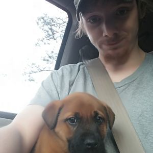 Meet your Posher, Mallory