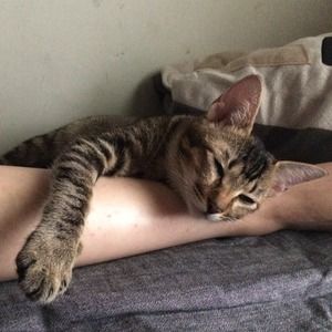 Meet your Posher, Eric