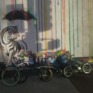 Meet your Posher, Coby