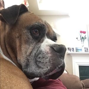 Meet your Posher, Carol