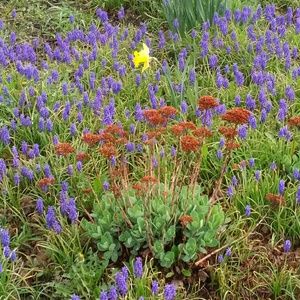 Meet your Posher, Greg