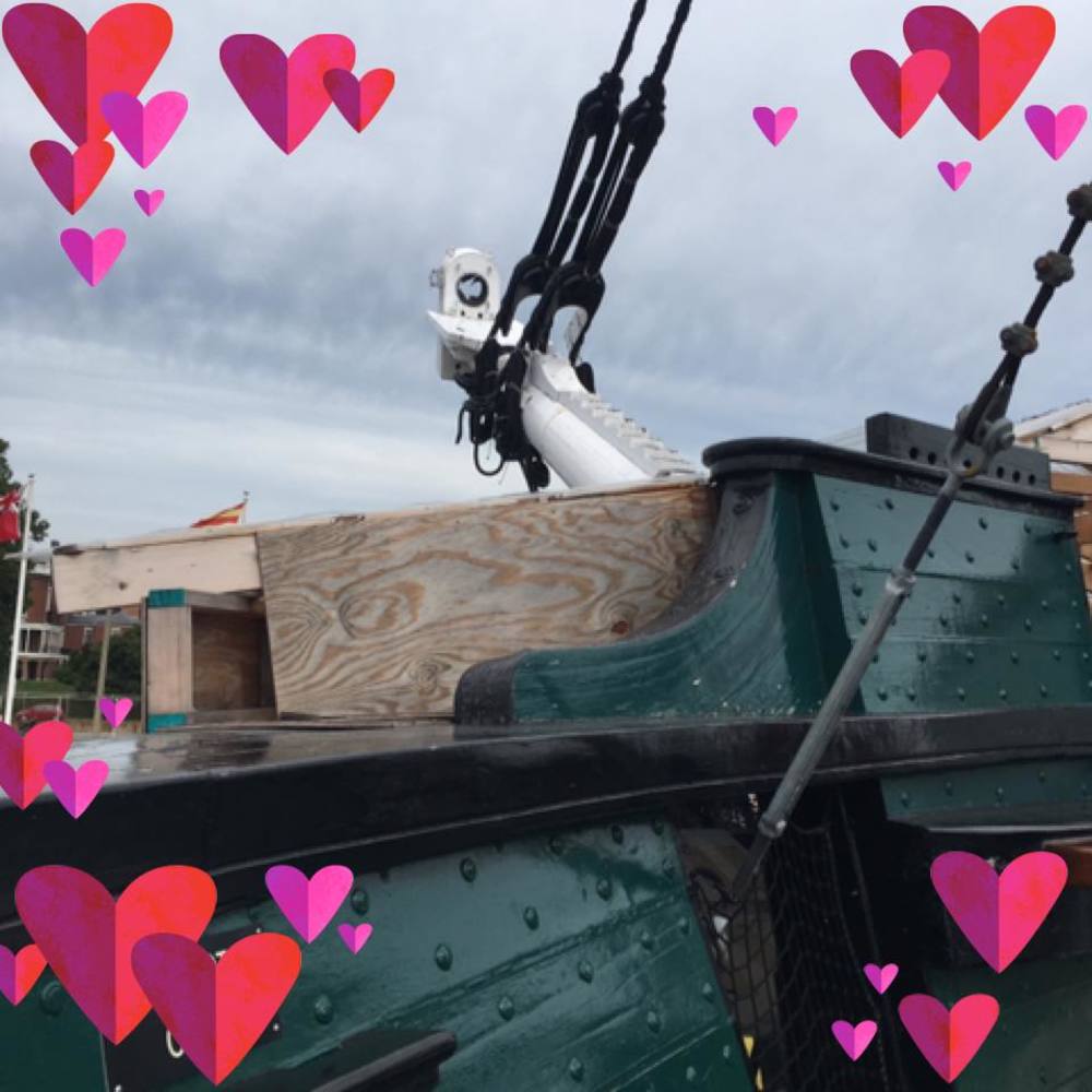 Meet your Posher, Emily