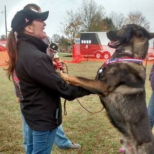Meet your Posher, Angel