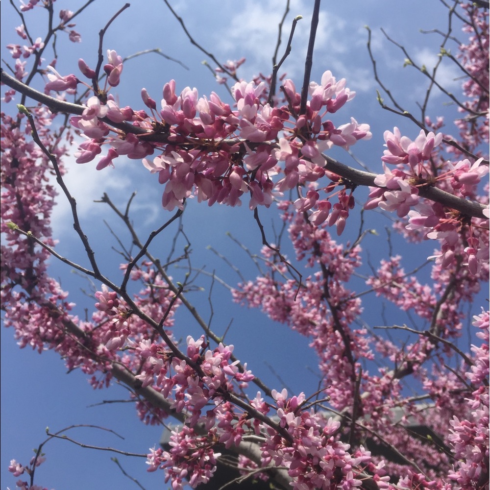 Meet your Posher, Fabiana