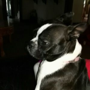 Meet your Posher, Tonya