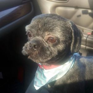 Meet your Posher, Maryetta