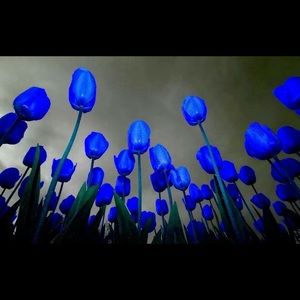 Meet your Posher, Candice