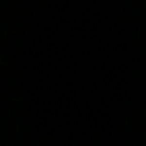 Meet your Posher, Adriana