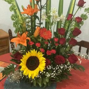 Meet your Posher, Liz