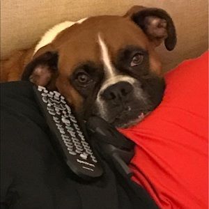 Meet your Posher, Carolyn