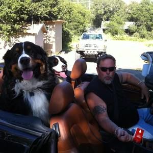 Meet your Posher, Julie