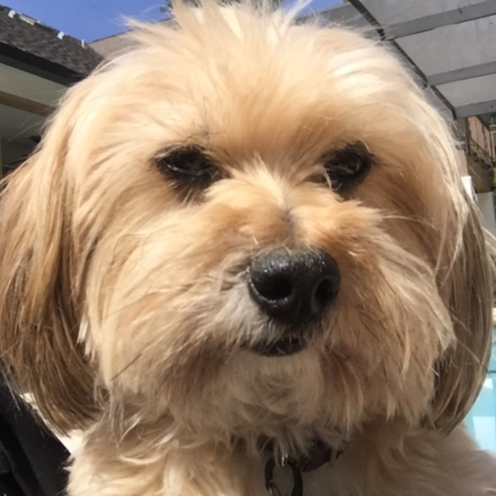 Meet your Posher, Maria