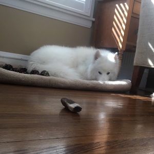 Meet your Posher, Landon