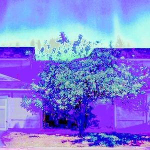 Meet your Posher, Britney