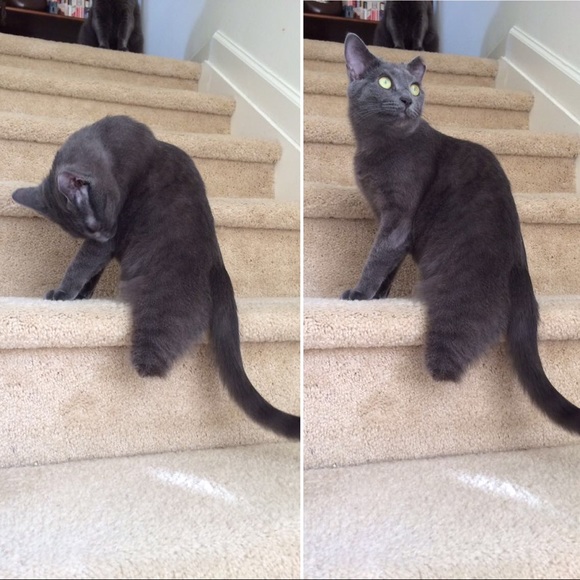 Shop our mom's closet! 😻😻😻 - Picture 6 of 16