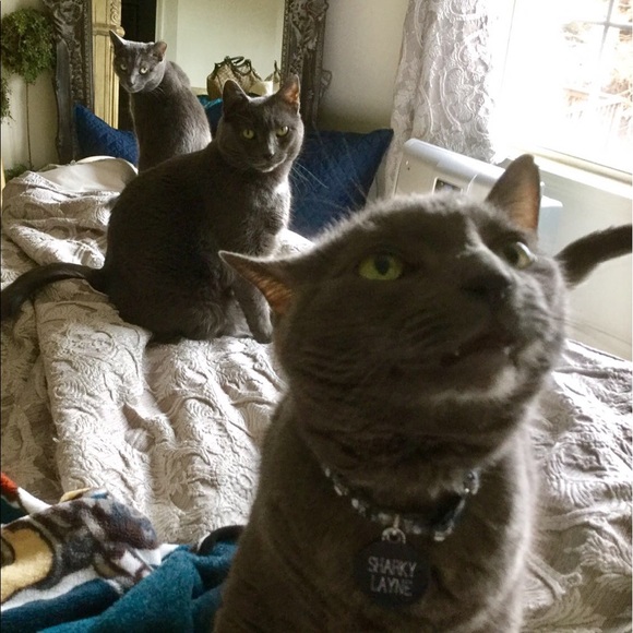 Shop our mom's closet! 😻😻😻 - Picture 3 of 16