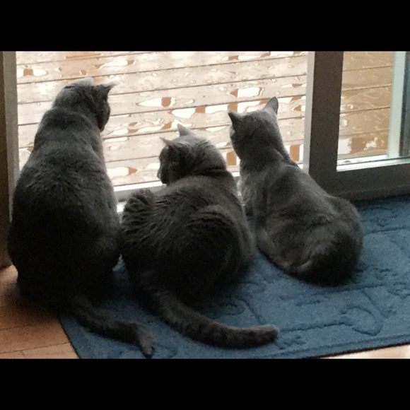 Shop our mom's closet! 😻😻😻 - Picture 13 of 16