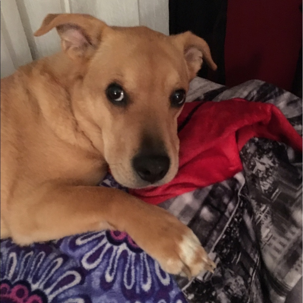 Meet your Posher, Cheri