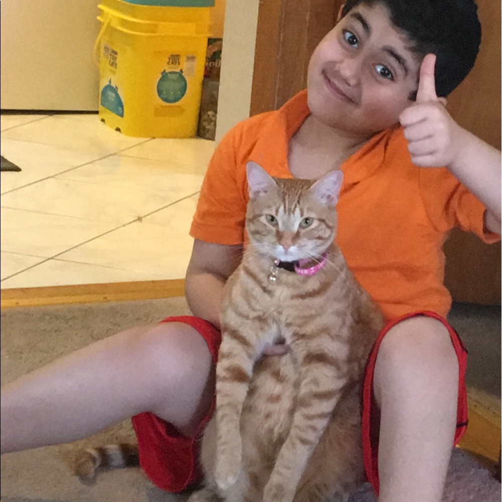 Meet your Posher, Sanaa