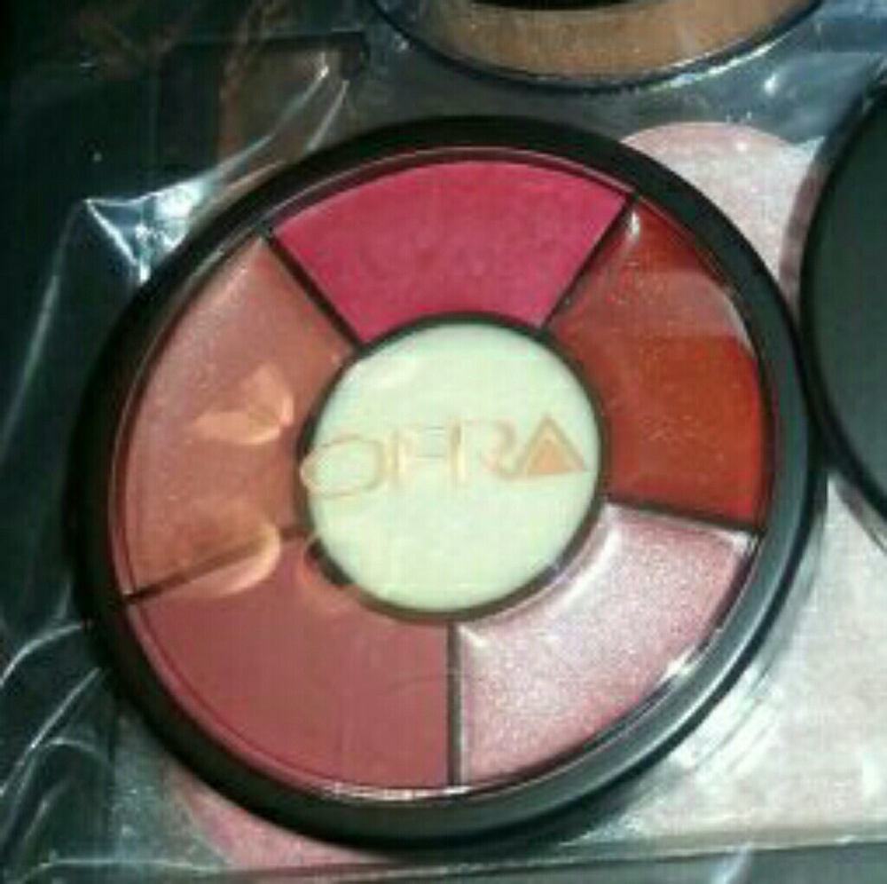 Ofra pro lipsticks